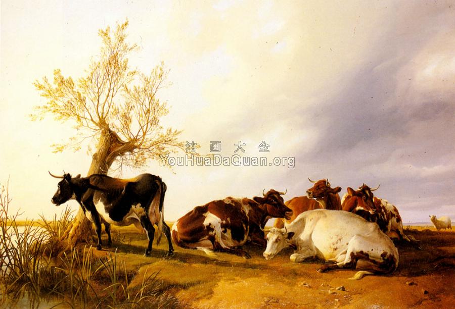 Dairy Cows Resting - 托马斯·辛德尼·库珀